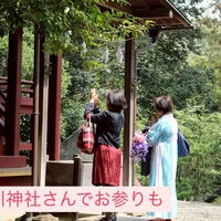 ブログ画像